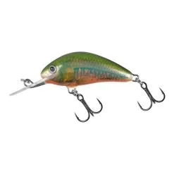 Salmo - Hornet Floating 6cm