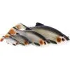 Westin - Ricky The Roach SL/ST 14cm 42g -Günstiges Angelruten Geschäft westin ricky the roach sl st 14cm 42g